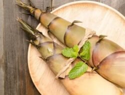 Manfaat Mengonsumsi Rebung Bagi Kesehatan Tubuh