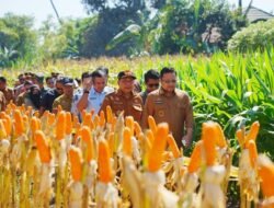 Wabup Gowa Buka Ekspo Pertanian dan Kukuhkan Pengurus KTNA