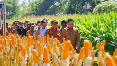 Wabup Gowa Buka Ekspo Pertanian dan Kukuhkan Pengurus KTNA