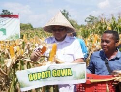 Pemkab Gowa Fokus Perkuat Produksi Jagung, Mentan Pimpin Panen Raya di Bajeng