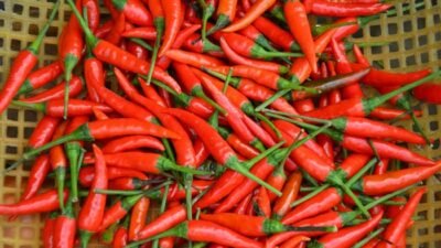 Harga Pangan Nasional Turun, Cabai hingga Beras Lebih Murah