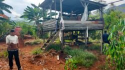 Lahan 1 Hektar Dimiliki Oknum Polisi di Lampia Senilai Rp10 Juta per Hektar