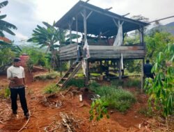 Lahan 1 Hektar Dimiliki Oknum Polisi di Lampia Senilai Rp10 Juta per Hektar