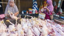 Jelang Idul Fitri, Pemerintah Pastikan Stok dan Harga Ayam Tetap Stabil
