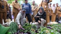 Pantauan Bupati Gowa: Harga Sembako Masih Normal Jelang Lebaran 2026