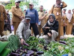 Pantauan Bupati Gowa: Harga Sembako Masih Normal Jelang Lebaran 2026