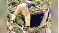 Damkar Lutim Lakukan Penanganan Intensif Pohon Tumbang di SMA Negeri 8