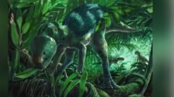 Dinosaurus Foskeia pelendonum Ditemukan di Spanyol, Seukuran Ayam