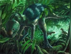 Dinosaurus Foskeia pelendonum Ditemukan di Spanyol, Seukuran Ayam