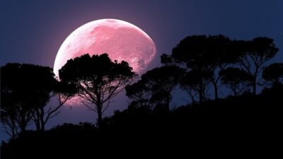 Pink Moon 1 April: Fenomena Astronomi yang Sarat Makna Ilmiah dan Budaya