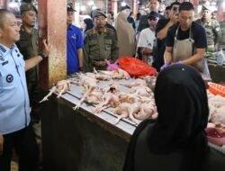 Bupati Luwu Timur Pantau Harga Sembako di Pasar Malili, Ayam Potong Naik 10 Persen
