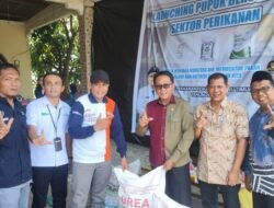 Sektor Tambak Diperkuat, 1.163 Pembudidaya Ikan Luwu Timur Mulai Terima Pupuk Subsidi