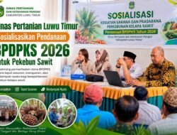Distan Luwu Timur Sosialisasikan Pendanaan BPDPKS 2026 untuk Pekebun Sawit