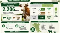 Jumlah Hewan Kurban di Luwu Timur Tembus 2.206 Ekor pada Idul Adha 1447 H