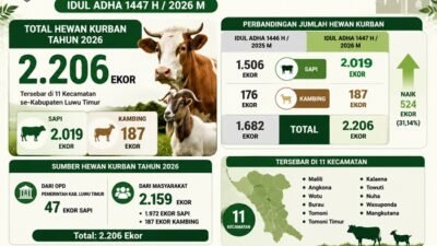 Jumlah Hewan Kurban di Luwu Timur Tembus 2.206 Ekor pada Idul Adha 1447 H