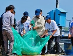 Prabowo Tinjau Tambak Udang Modern, Indonesia Dibidik Jadi Raja Ekspor Udang