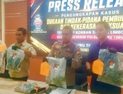 Kasus Pembunuhan AR di Kalaena Terungkap, Polisi Sebut Pelaku Sudah Mengintai Korban