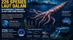 Ilmuwan Temukan 226 Spesies Laut Dalam di Nyinggulu, Termasuk Jejak Cumi-Cumi Raksasa
