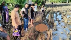 Perempuan Muda di Luwu Timur Tewas di Persawahan, Polisi Dalami Kasus
