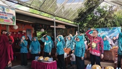 3.780 Ibu Hamil di Gowa Jadi Sasaran Program Suplemen MMS untuk Cegah Anemia dan Stunting