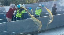 TPA Tamangapa Dibenahi, Pemkot Makassar Fokus Penuhi Baku Mutu Air Lindi