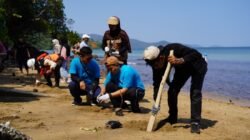 PT Vale Tanam 50 Mangrove dan 200 Lamun di Pesisir Mangkasa Point Luwu Timur