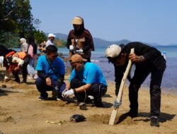 PT Vale Tanam 50 Mangrove dan 200 Lamun di Pesisir Mangkasa Point Luwu Timur