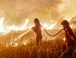 Menguak Karhutla di 6 Daerah, 108 Hektare Terbakar