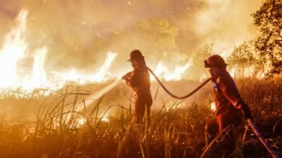 Menguak Karhutla di 6 Daerah, 108 Hektare Terbakar