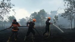 38.310 Hektare Lahan Terbakar di Kalbar, BNPB Kembali Intensifkan Modifikasi Cuaca