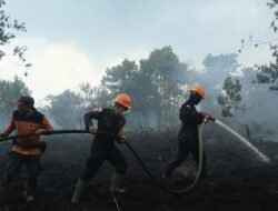 38.310 Hektare Lahan Terbakar di Kalbar, BNPB Kembali Intensifkan Modifikasi Cuaca