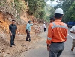 Erick Strada Kawal Keluhan Warga Balambano soal Proyek PT Vale
