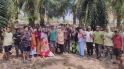Dorong Ekonomi Desa, Wahidin Wahid Serahkan 60 Ekor Kambing di Mangkutana